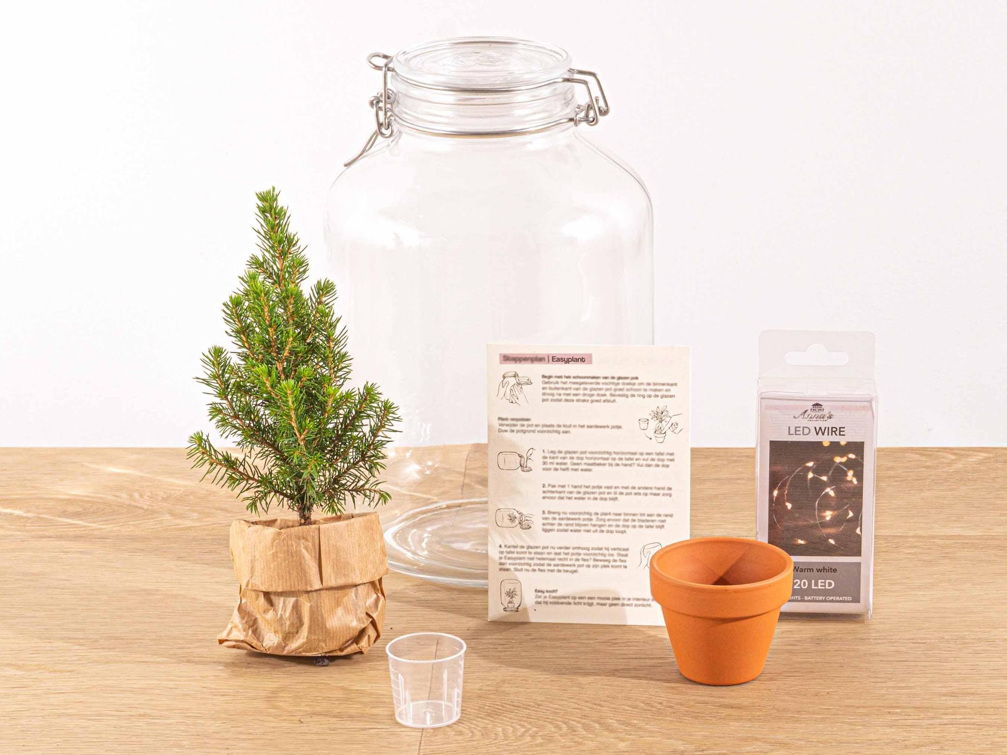 Easyplant - Christmas - Kerst decoratie - ↕ 28 cm