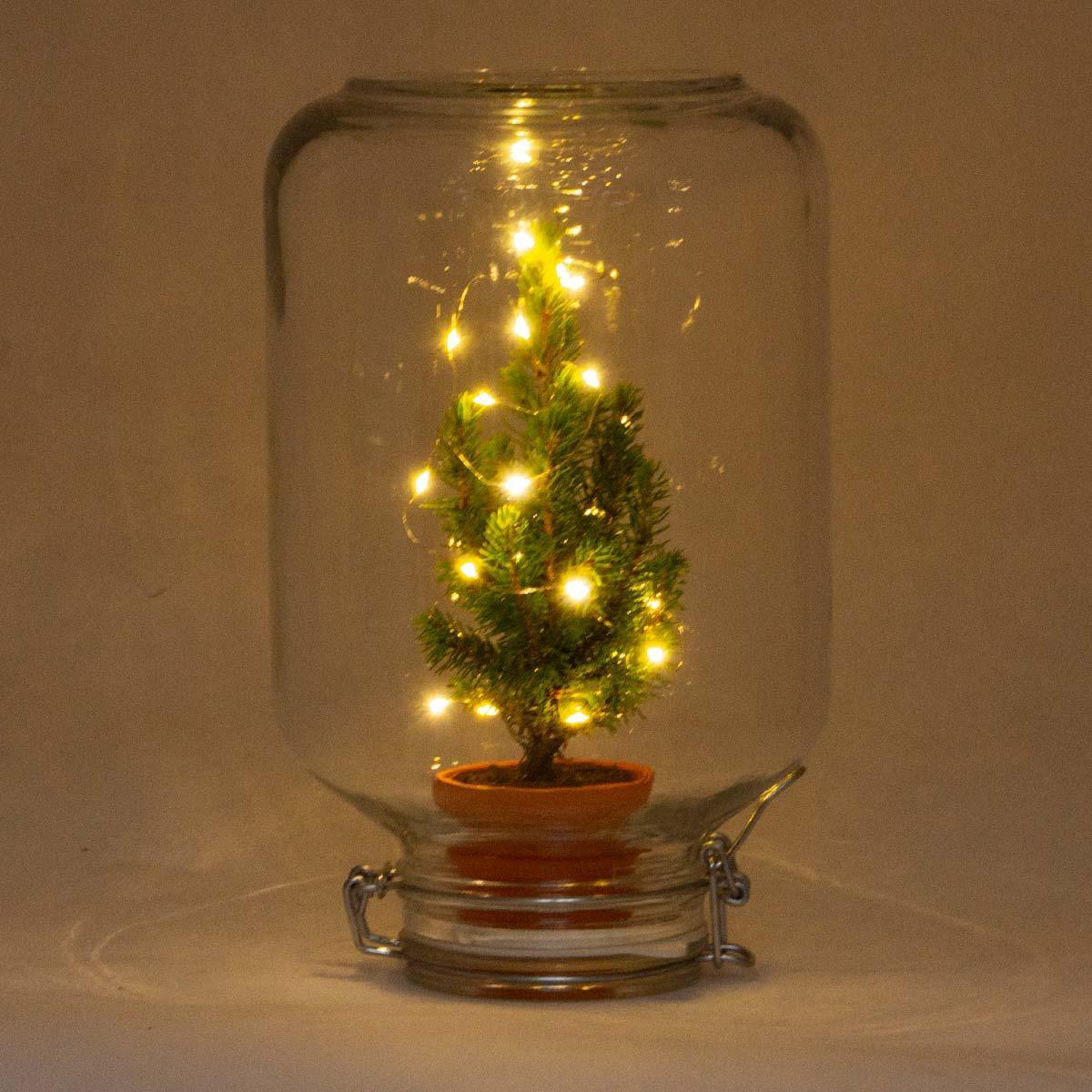 Easyplant - Christmas - Kerst decoratie - ↕ 28 cm