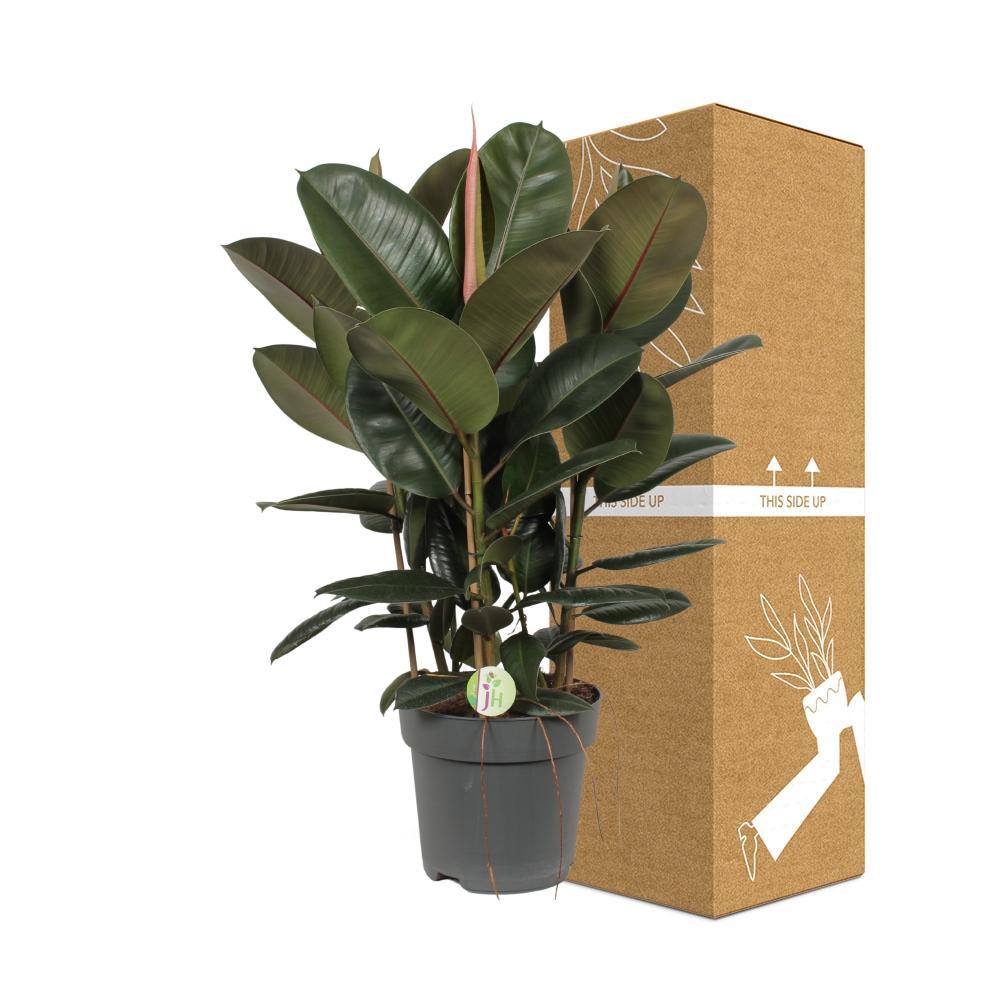 Ø27cm - ↕90cm