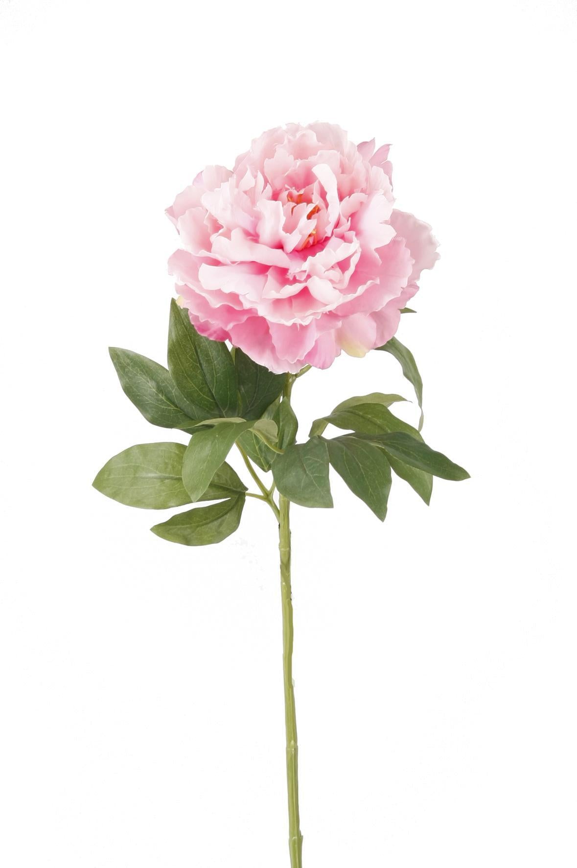 Kunstbloemen - Pioenrozen licht roze x 5 - 65cm