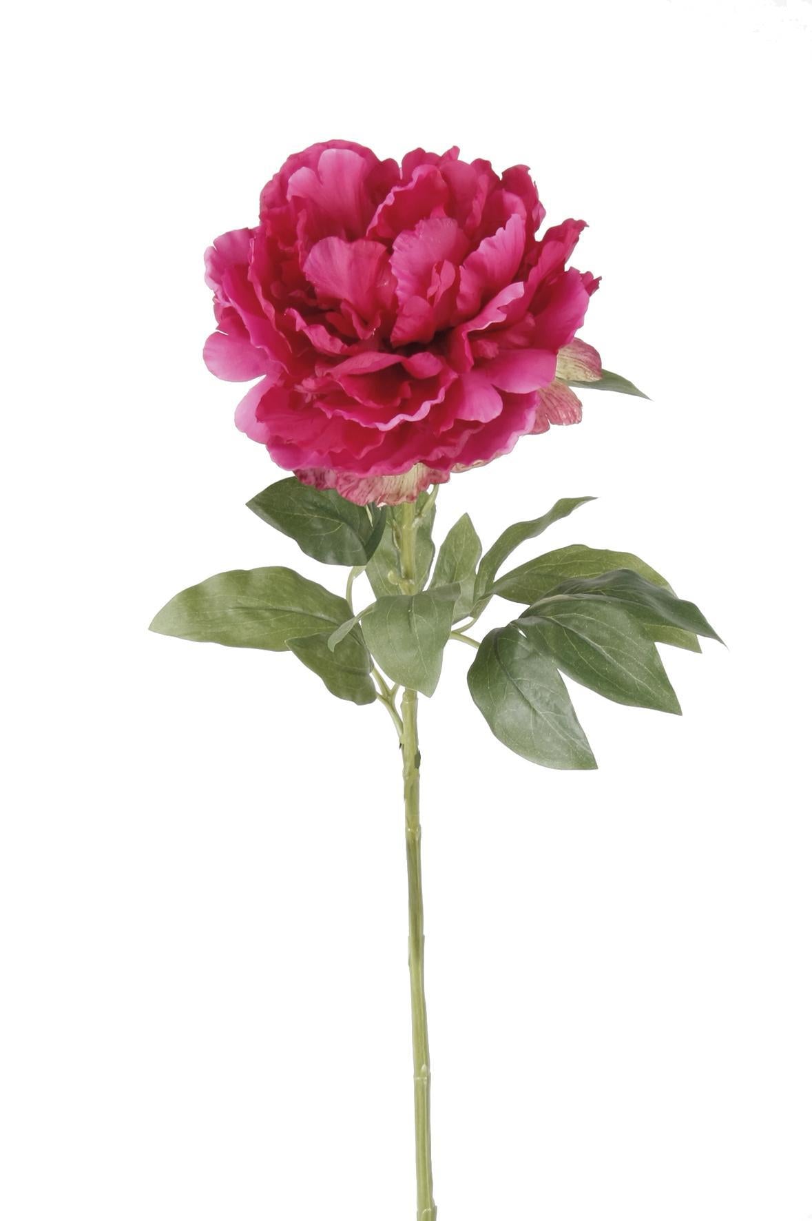 Kunstbloemen - Pioenrozen donker roze x 5 - 65cm