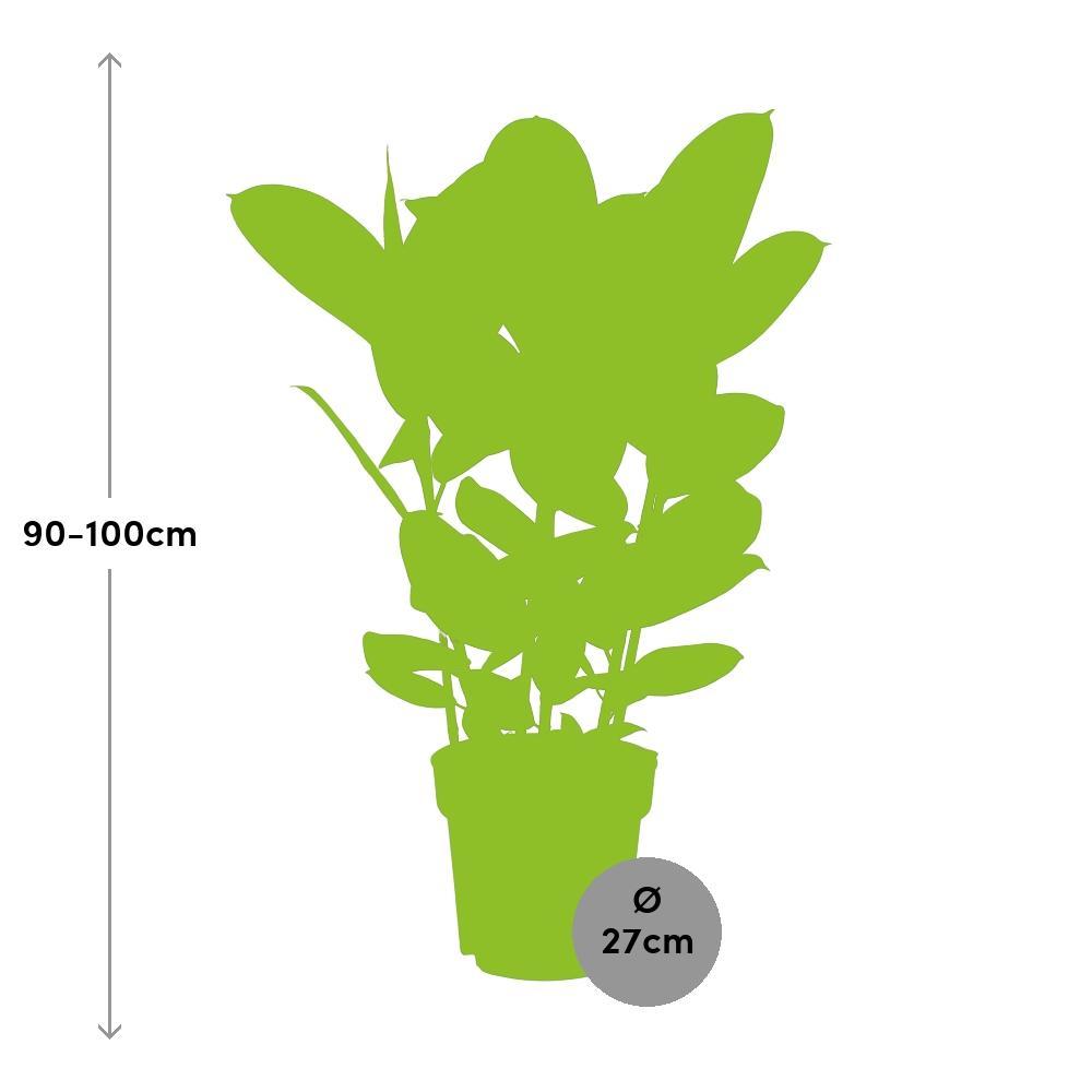 Ø27cm - ↕90cm