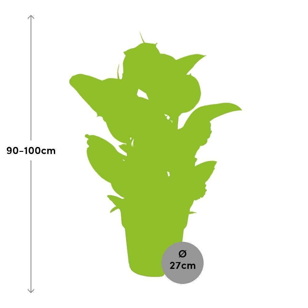 Ø27cm - ↕100cm