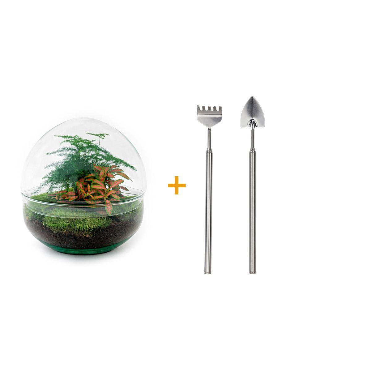 DIY terrarium - Dome Red - ↑ 20 cm + Rake + Shovel
