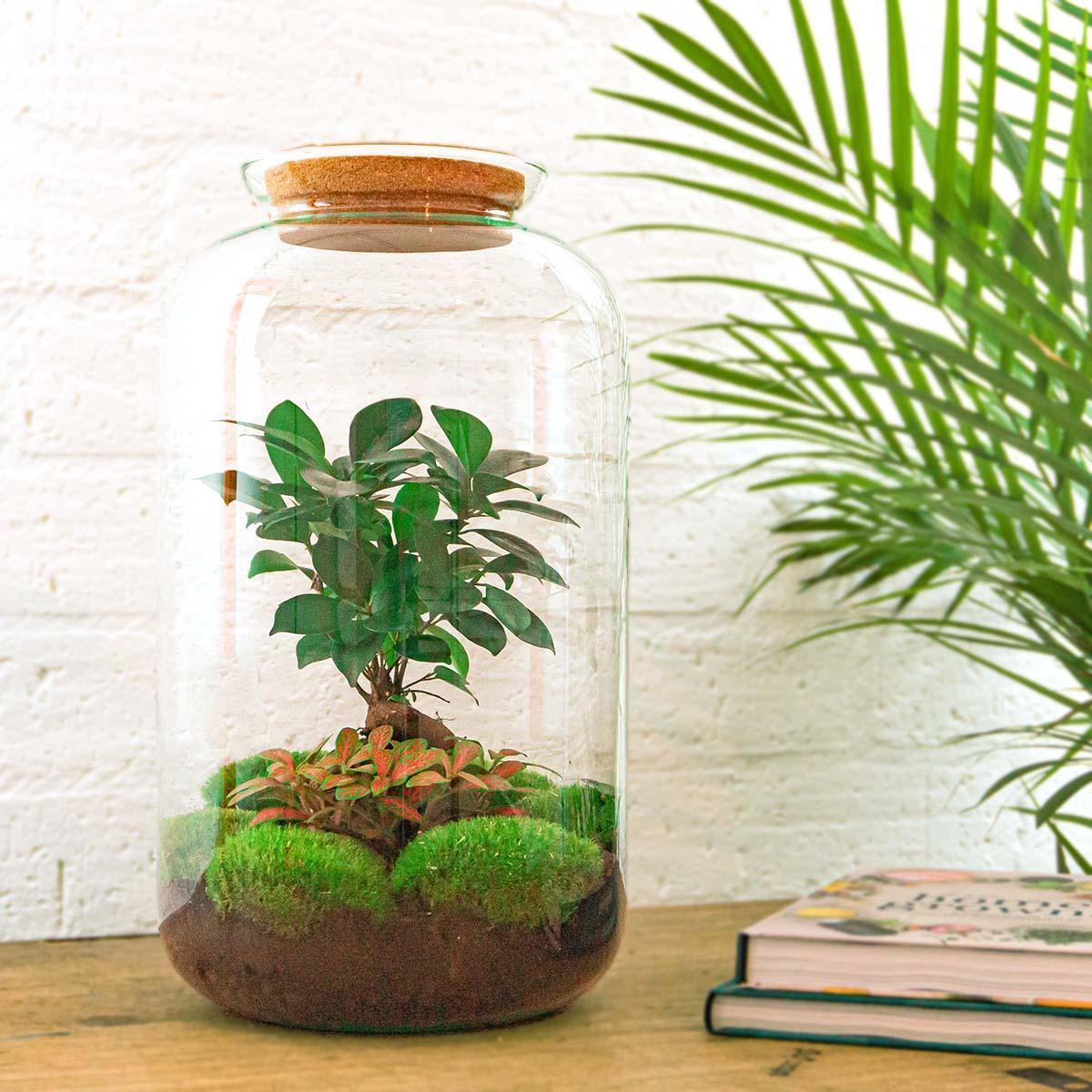 DIY terrarium