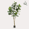 Kunstplant - Ficus Lyrara - Tabaksplant - 210cm