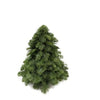 Nobilis Kerstboom - ↕30cm