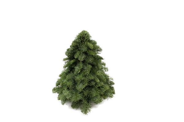 Nobilis Kerstboom - ↕30cm