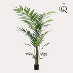 Kunstplant - Kentia -Kentiapalm - 210cm