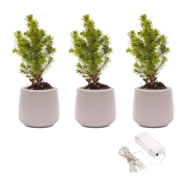 Mini kerstboom set 3 - Inclusief 3x pot Joey grijs + 20 led lights