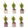 Mini-kerstboom set 6 - Inclusief pot set Madrid - Draadverlichting met 20 led-lampjes