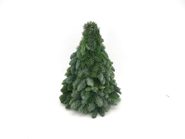 Nobilis Kerstboom - ↕40cm