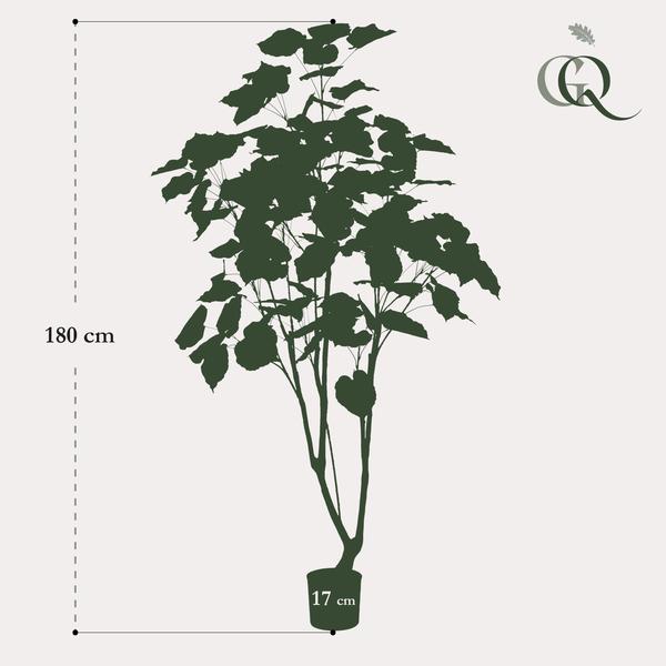 Kunstplant - Ficus umbellate - Afrikaanse vijg - 180cm