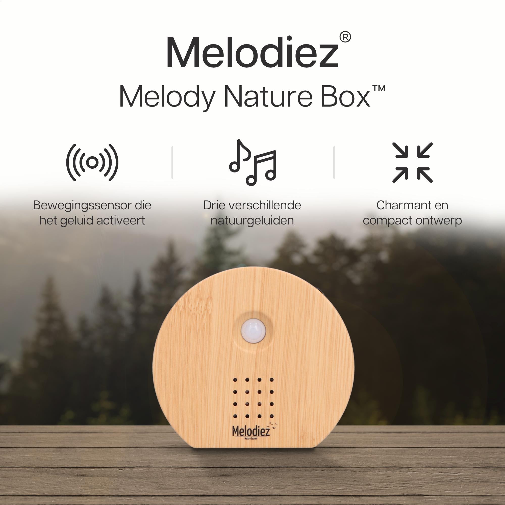 Melodiez music box - natuursteen - Hout