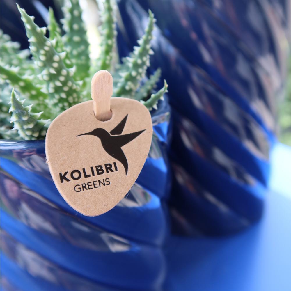 Kolibri Home | Candy sierpot | Hoog - Blue - Ø6cm