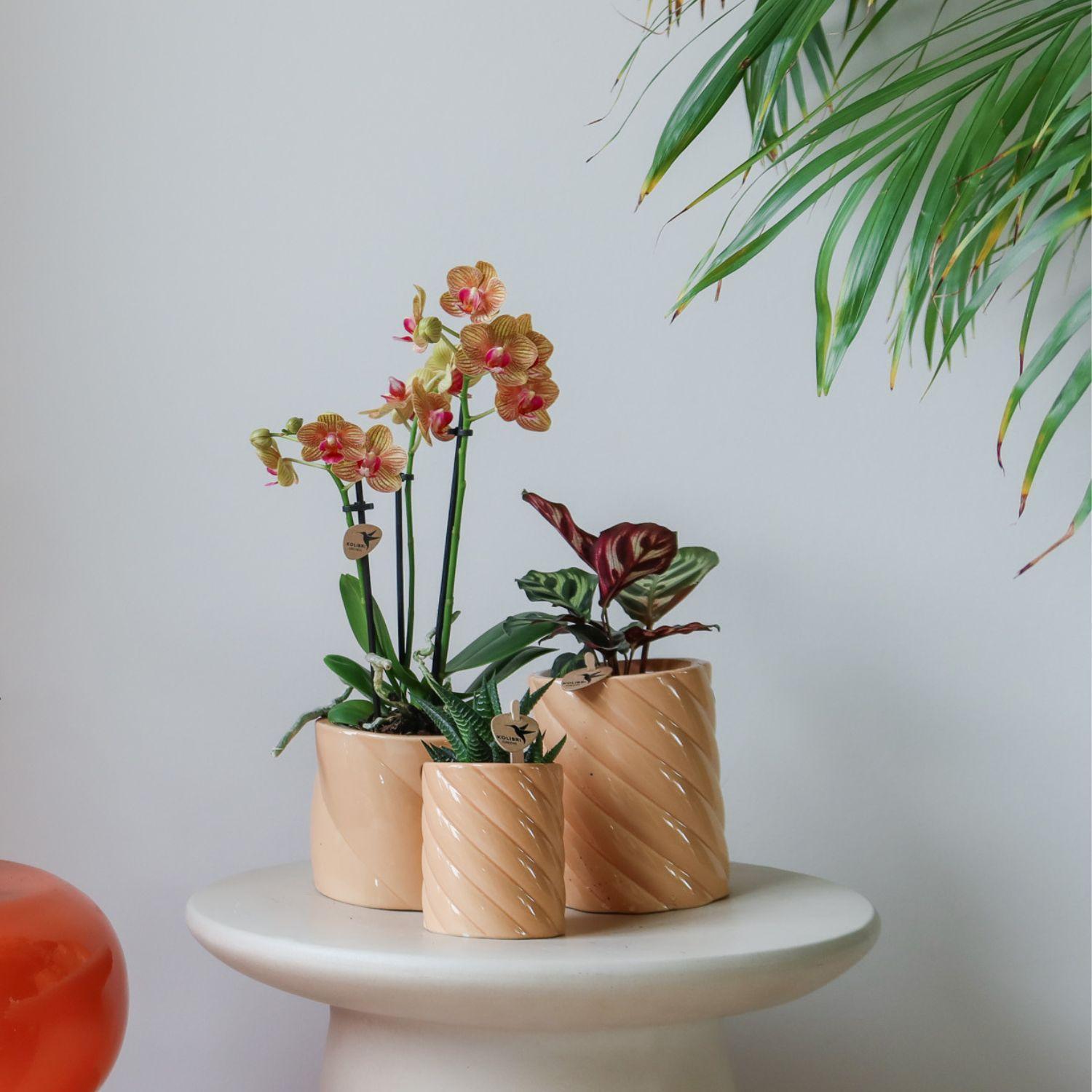 Kolibri Home | Candy sierpot - Peach - Ø9cm