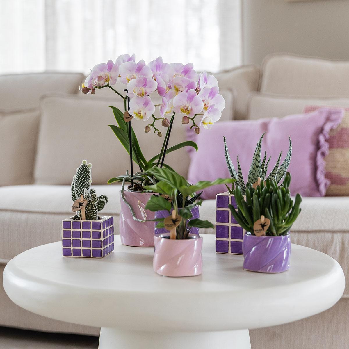 Kolibri Home | Mosa sierpot - Lilac - Ø9cm