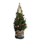 Kleine Kerstboom in Xmas Bag blauw - 70 cm - Picea Glauca Conica - Pine cone lighting including batteries