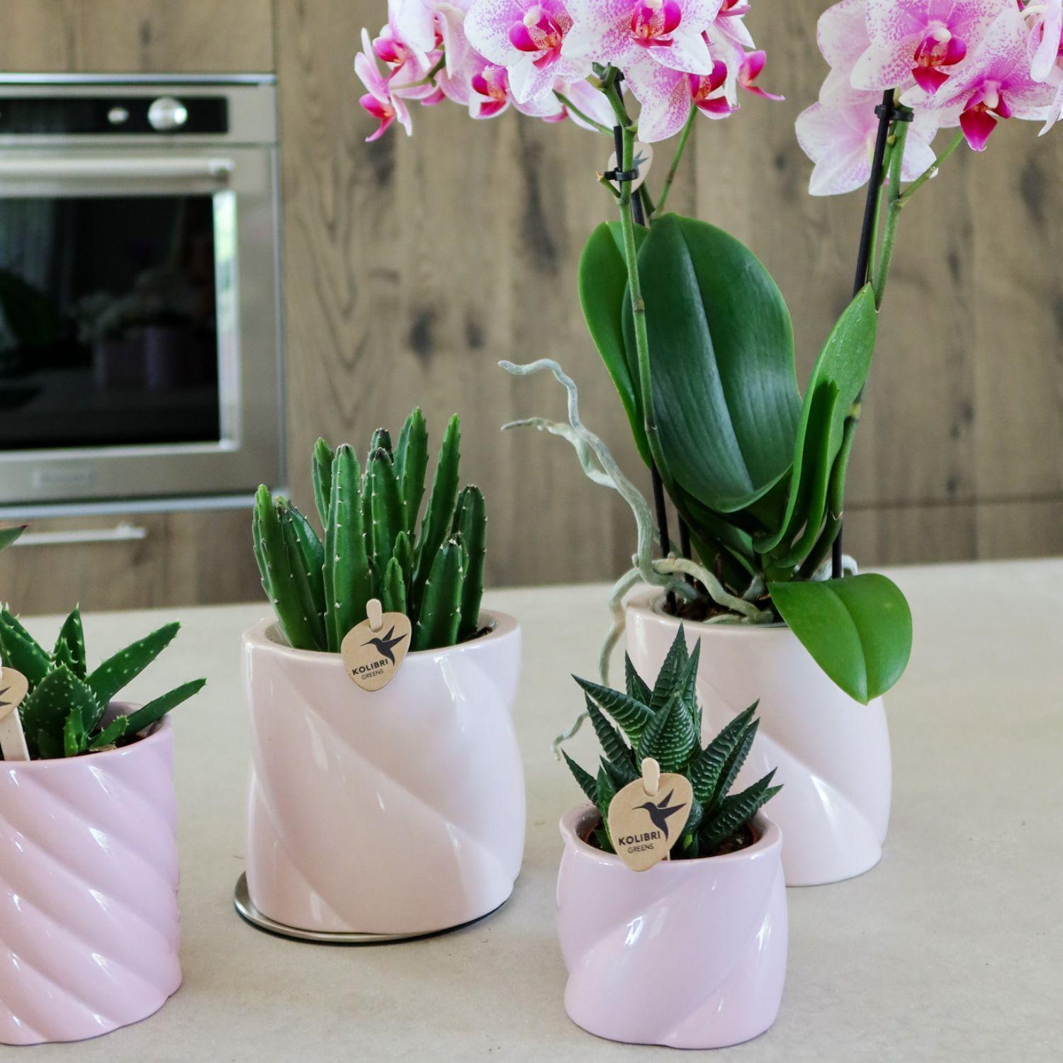 Kolibri Home | Candy sierpot - Pink - Ø6cm