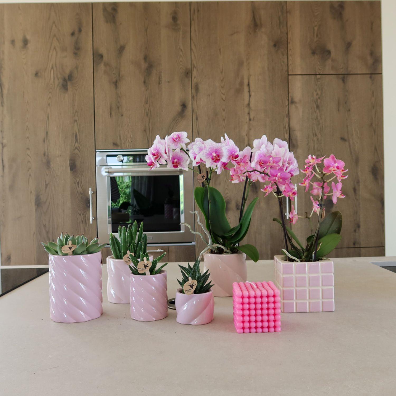 Kolibri Home | Candy sierpot | Hoog - Pink - Ø6cm