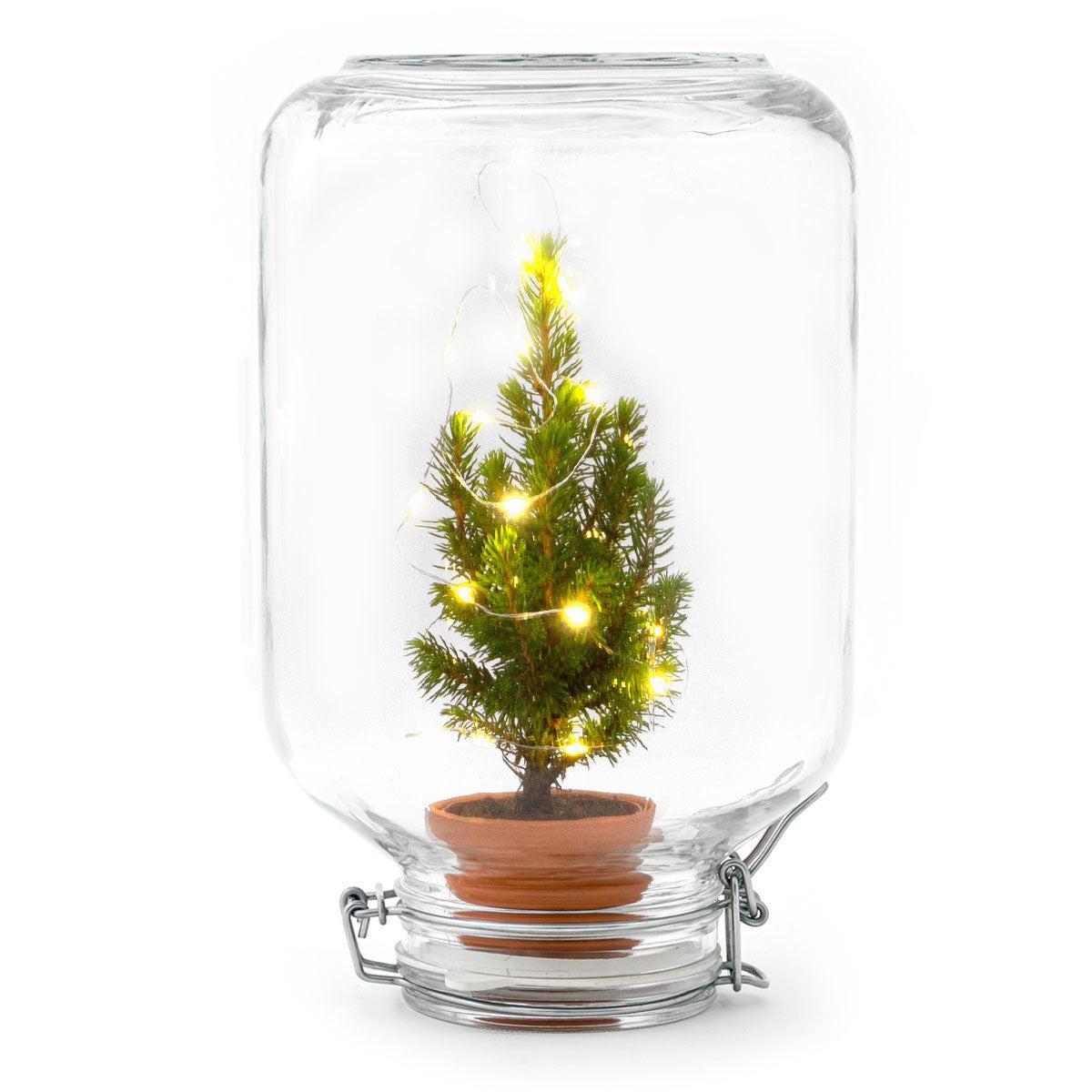 Easyplant - Christmas - Kerst decoratie  - ↕ 28 cm