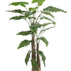 Kunstplant - Alocasia - Olifantsoor - 180 cm