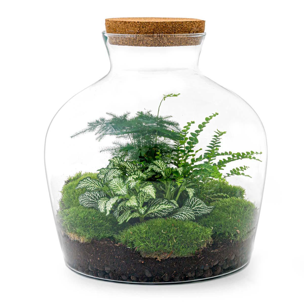 DIY terrarium - Fat Joe Groen - ↑ 30 cm + Rake + Shovel