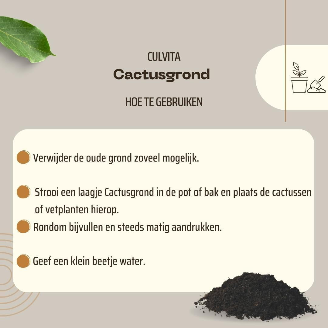 Culvita - Cactusgrond 5 liter - potgrond geschikt voor Cactus en vetplanten