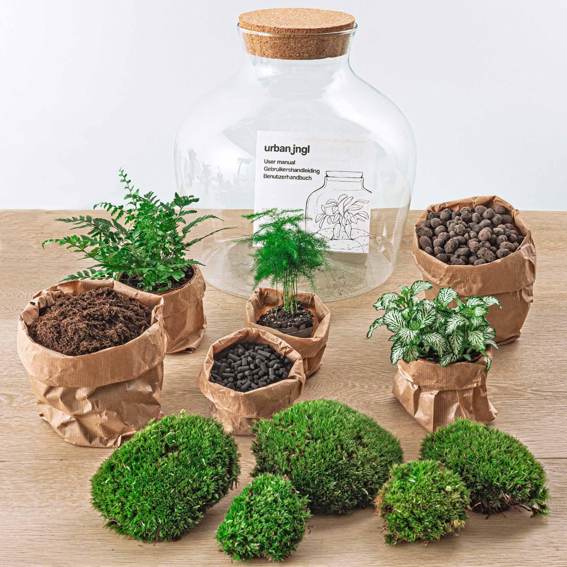 DIY terrarium - Fat Joe Groen - ↑ 30 cm + Rake + Shovel + Tweezer + Scissors