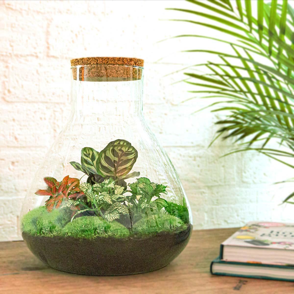 Variant interne naam DIY terrarium - Sam XL Red - ↑ 35 cm + Rake + Shovel + Tweezer + Scissors