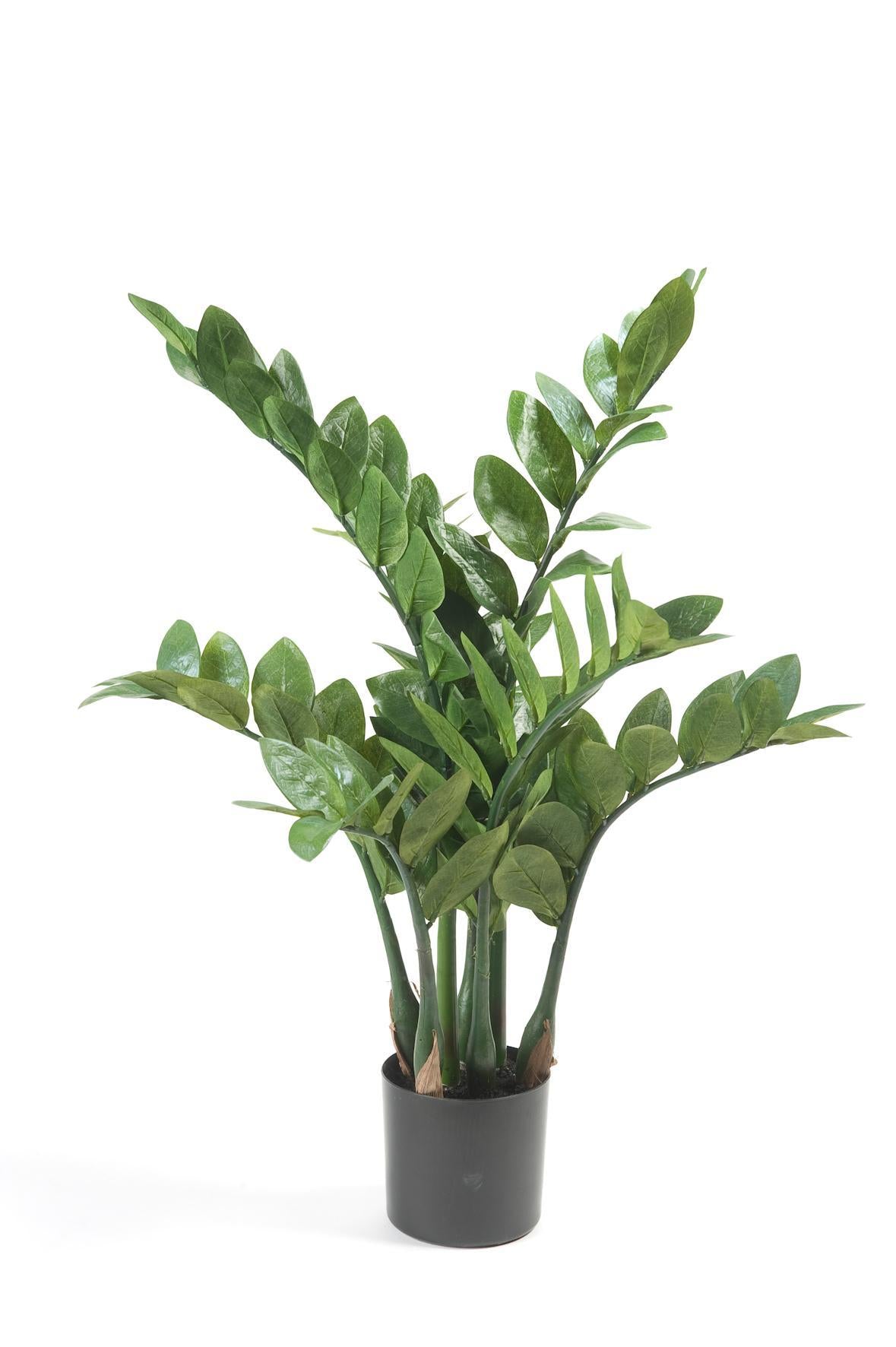 Kunstplant - Zamioculcas - Kamerpalm - 70 cm