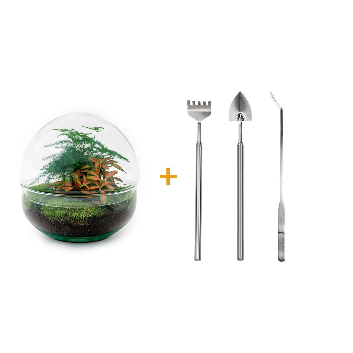 DIY terrarium - Dome Red - ↑ 20 cm + Rake + Shovel + Tweezer