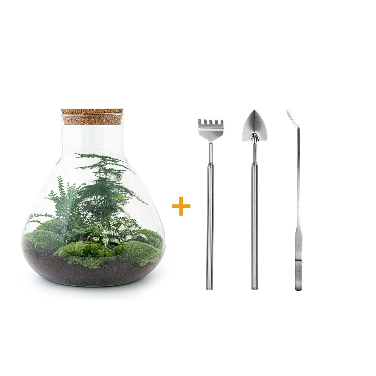 DIY terrarium - Sam XL - ↑ 35 cm + Rake + Shovel + Tweezer