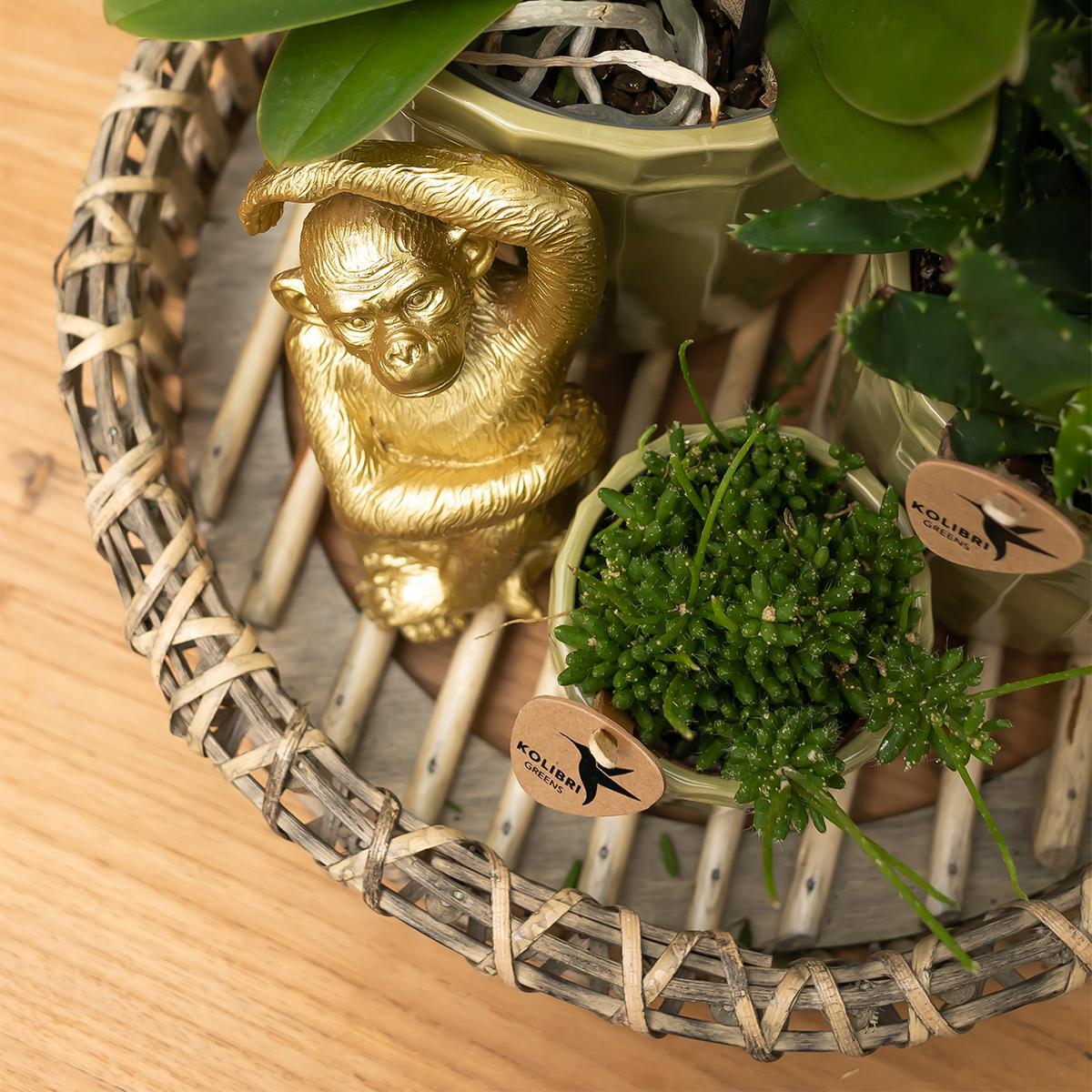 Kolibri Home | Ornament - Decoratie beeld Sitting Monkey goud