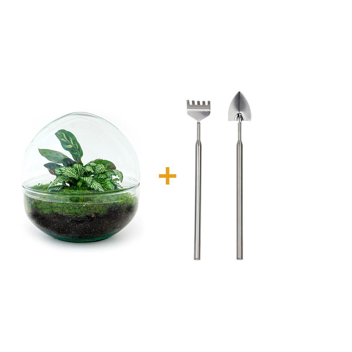 DIY terrarium - Dome - ↑ 20 cm + Rake + Shovel