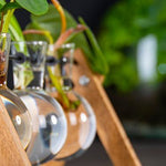 Cutting Stand - 3 glass vases - Hydroponic vase for cuttings - Wooden - Cultivation station
