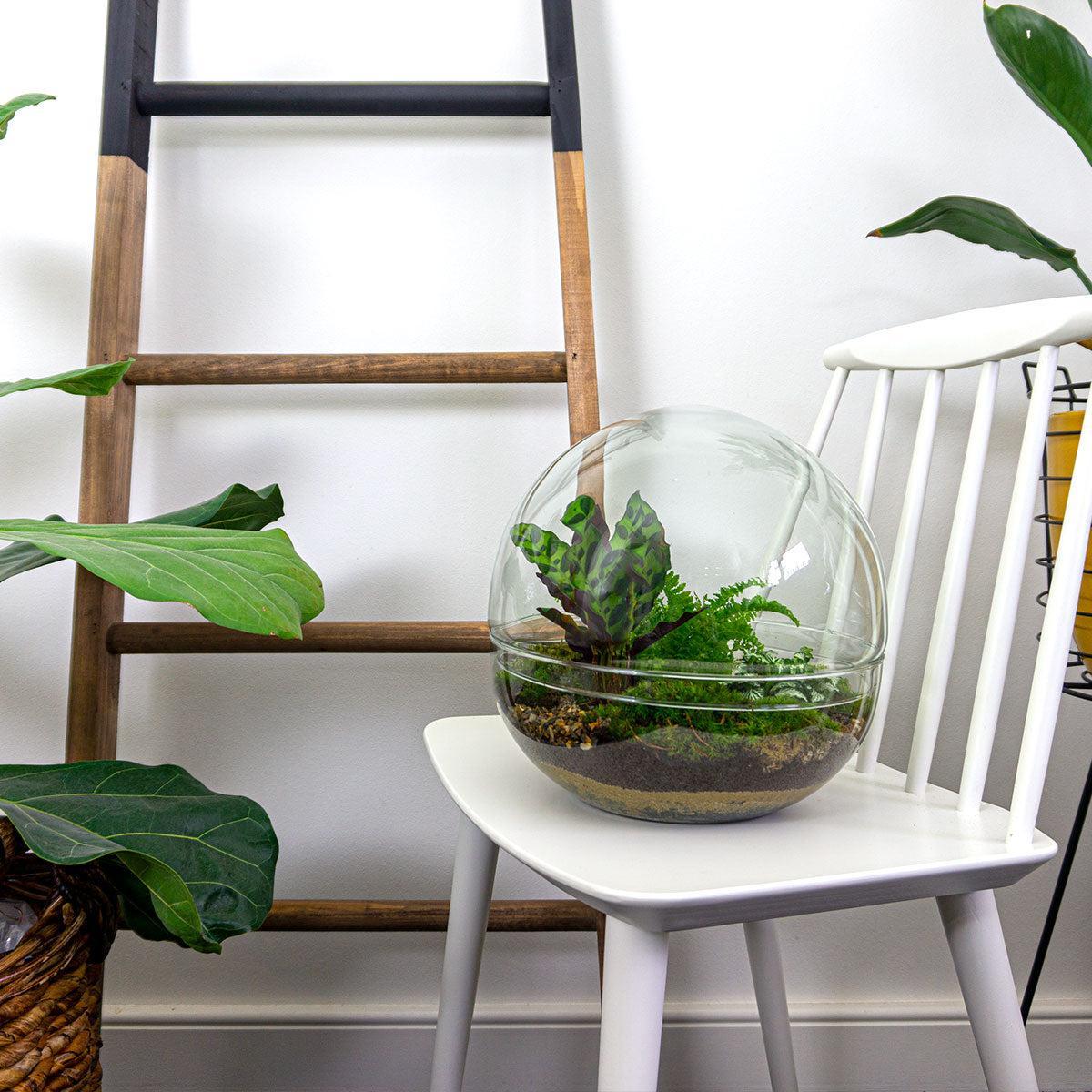 DIY terrarium - Dome XL - ↑ 30 cm + Rake + Shovel + Tweezer