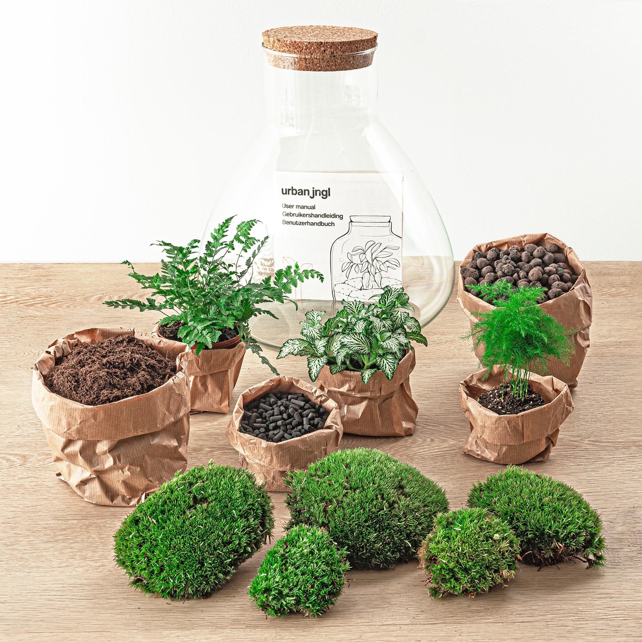 DIY terrarium - Sam XL - ↑ 35 cm + Rake + Shovel + Tweezer