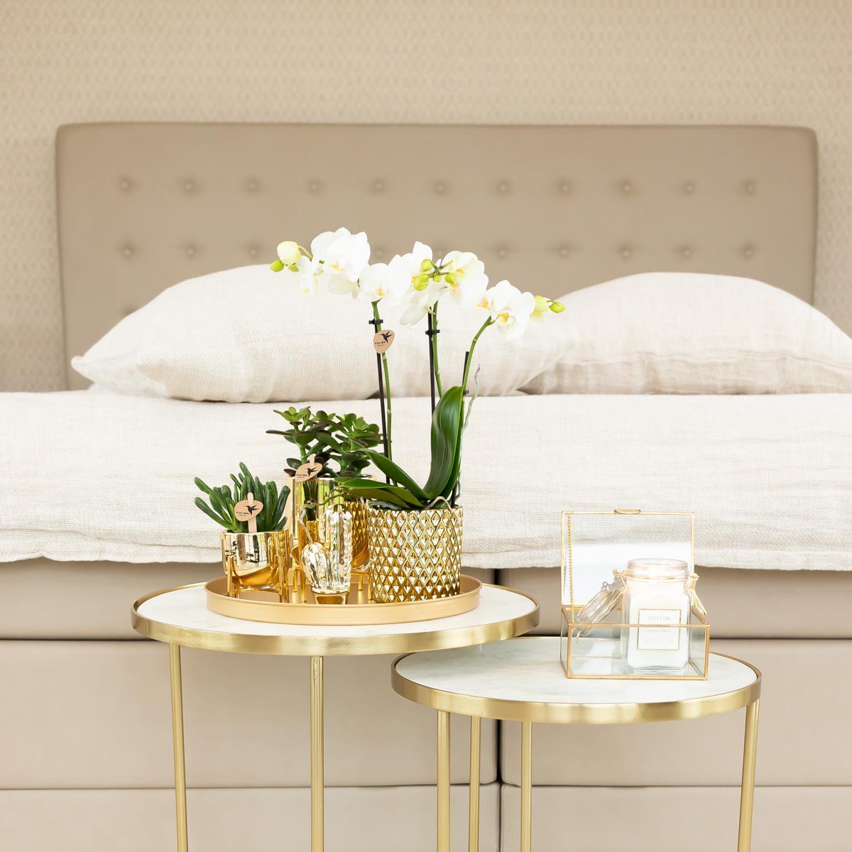 Kolibri Home | Metallic diamond bloempot - Gouden keramieken sierpot Ø9cm