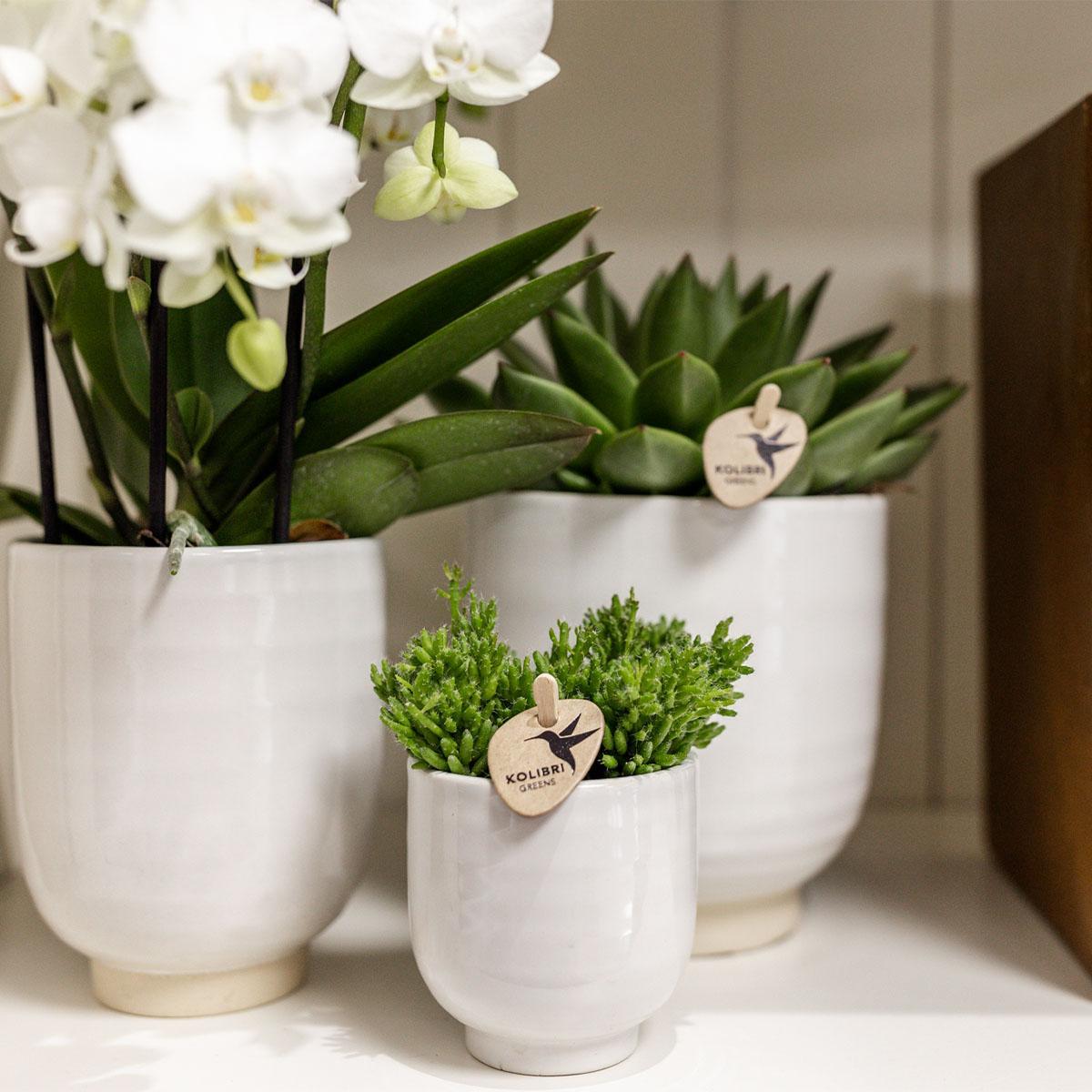 Kolibri Home | Glazed bloempot - Witte keramieken sierpot met glans - Ø12cm