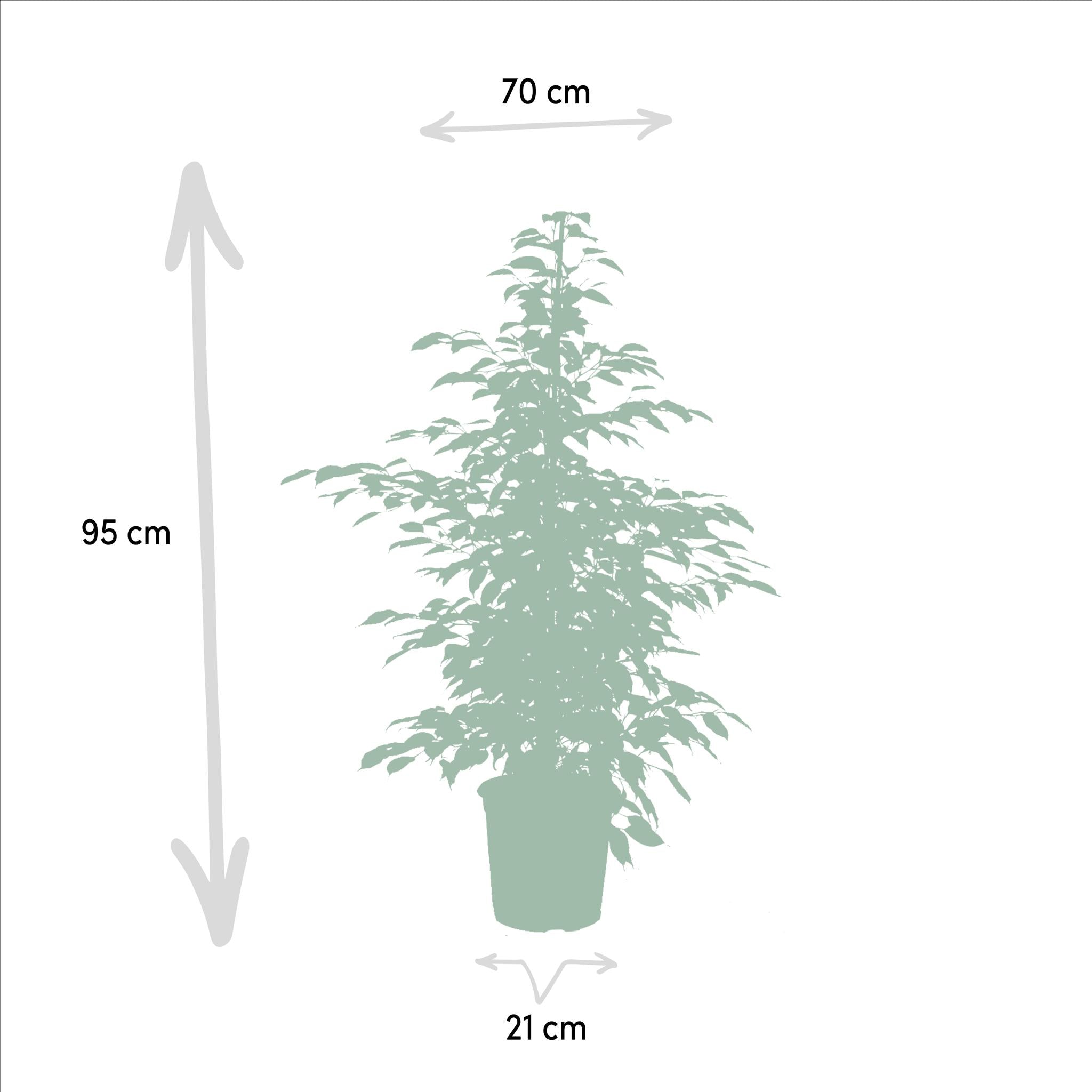 Ø21cm - ↕95cm