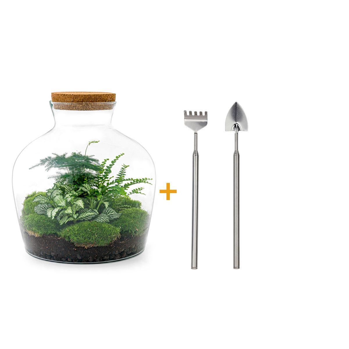 DIY terrarium - Fat Joe Groen - ↑ 30 cm + Rake + Shovel