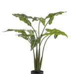 Kunstplant - Alocasia Frydek - Olifantsoor - 100 cm