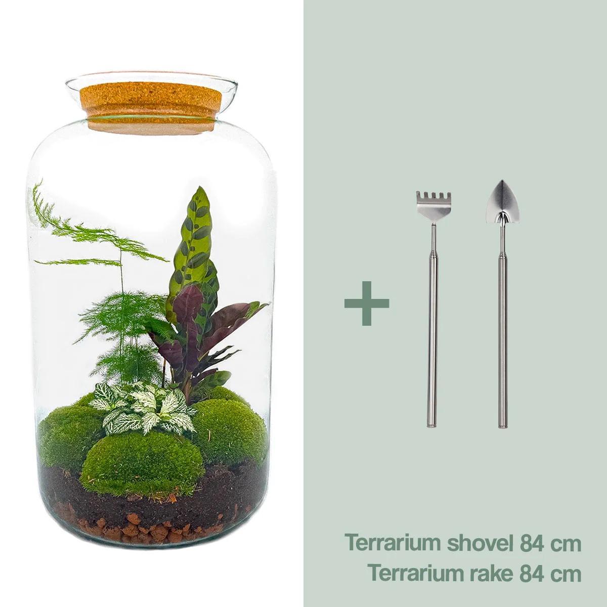 DIY terrarium - Botanical Sven XL - ↑ 43 cm + Rake + Shovel