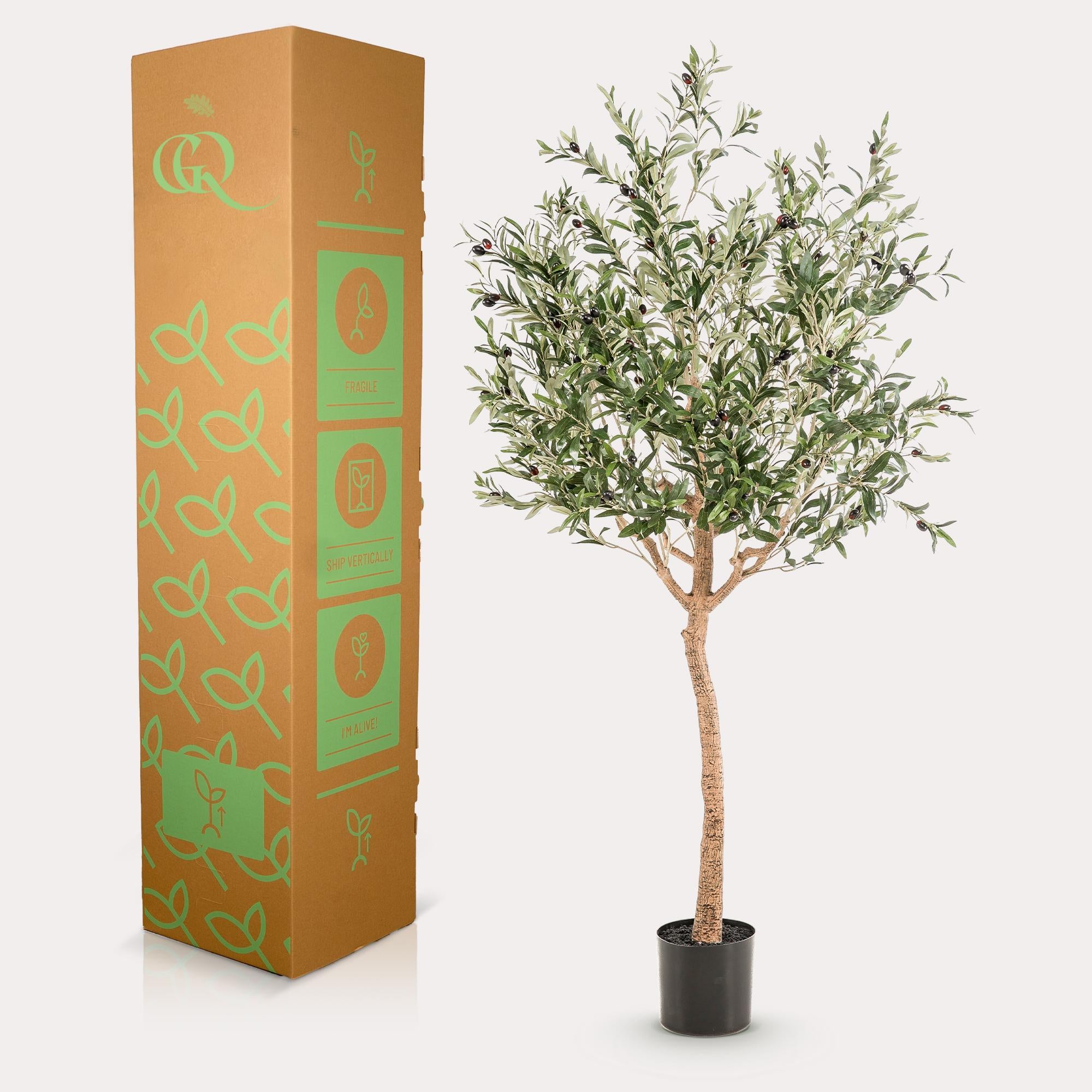 Kunst Olijfboom - Olea Europaea - Olijfboom - 180 cm