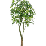 Kunstplant - Pachira Aquatica - Geldboom - 180 cm