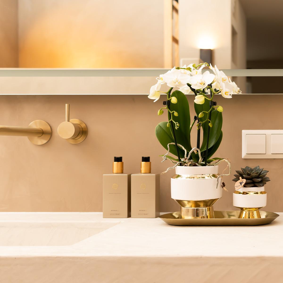 Kolibri Home | Le Chic bloempot - Witte keramieken sierpot met gouden details - Ø6cm