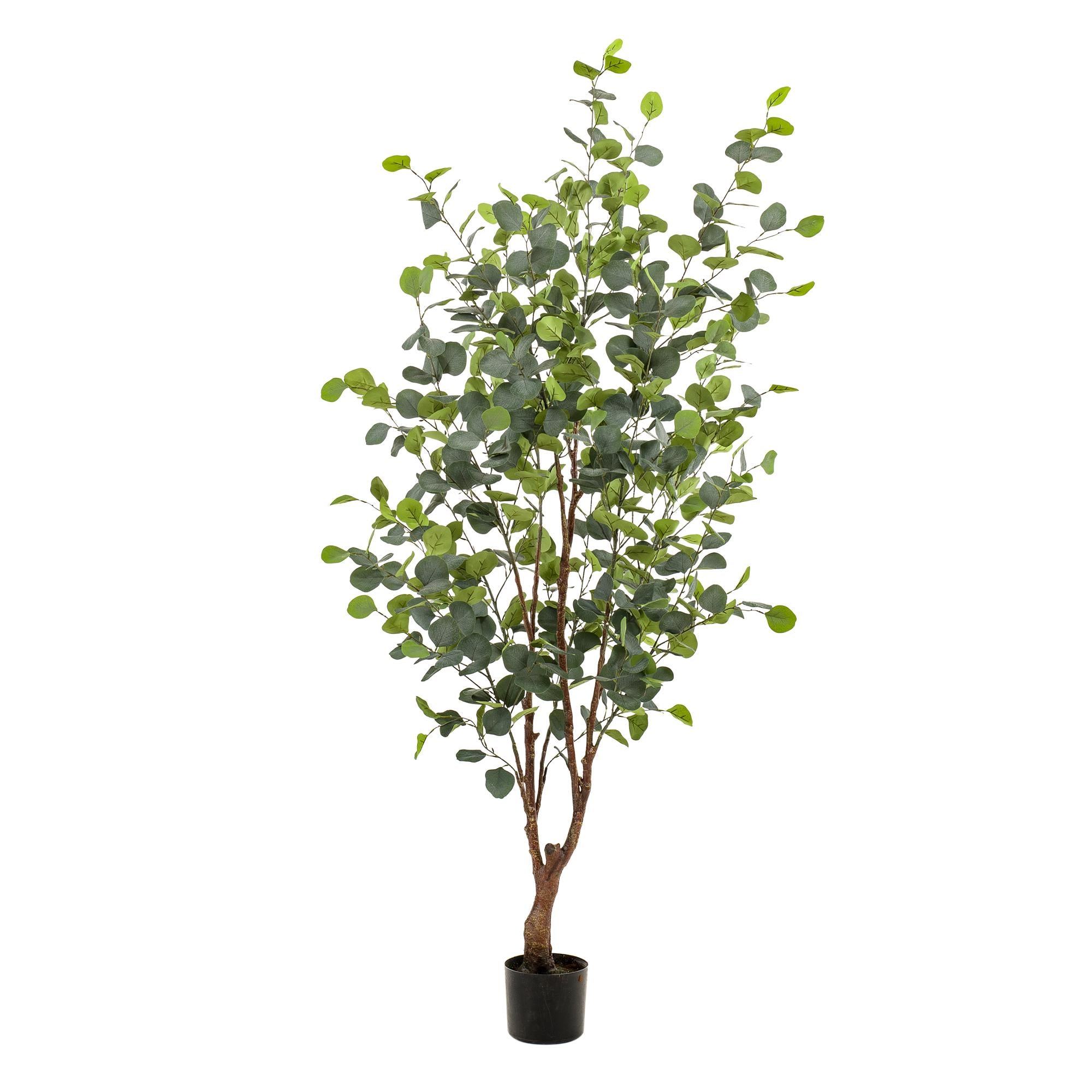 Kunstplant - Eucalyptus - Blauwe Gomboom - 140 cm