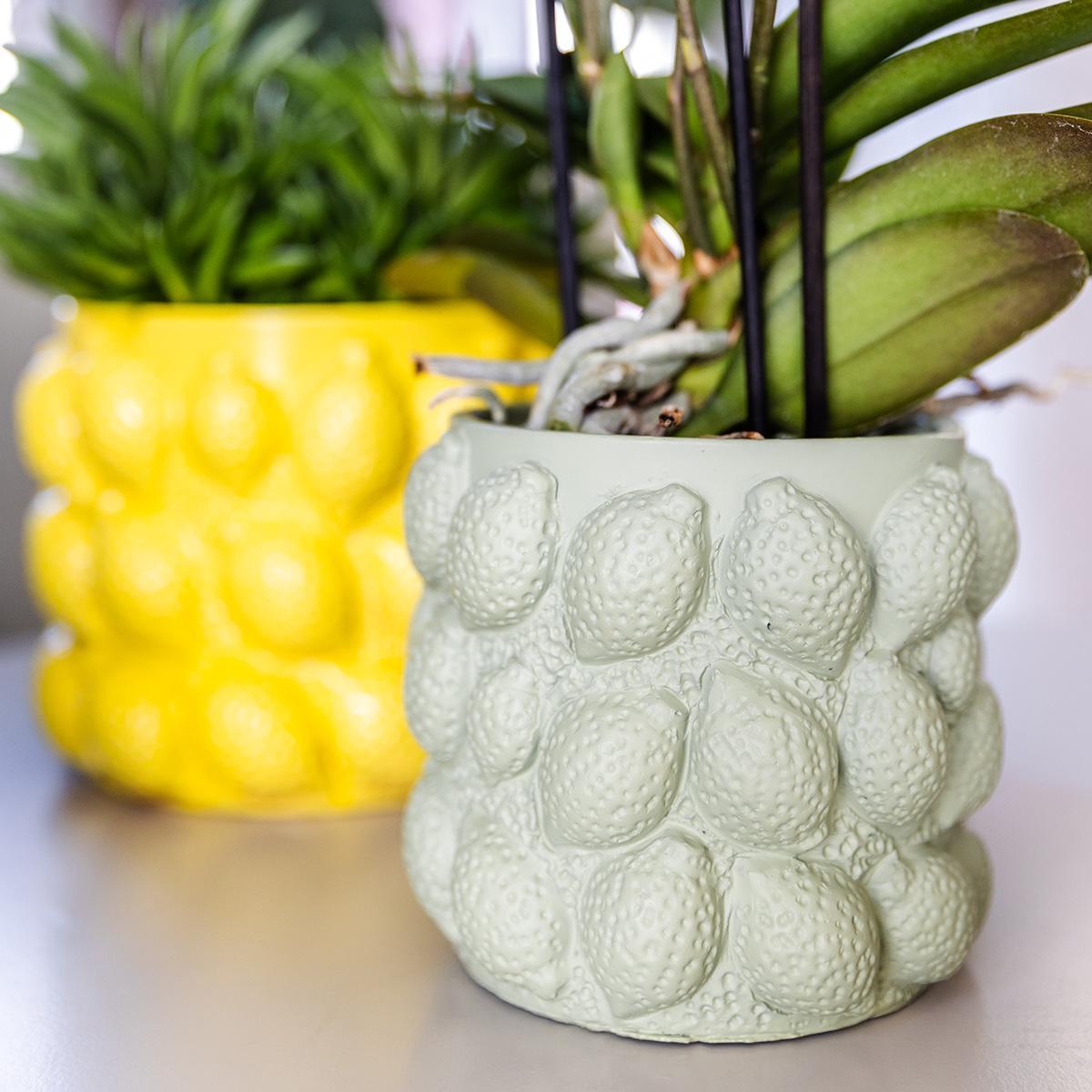 Kolibri Home | Citrus pot groen - Ø9cm