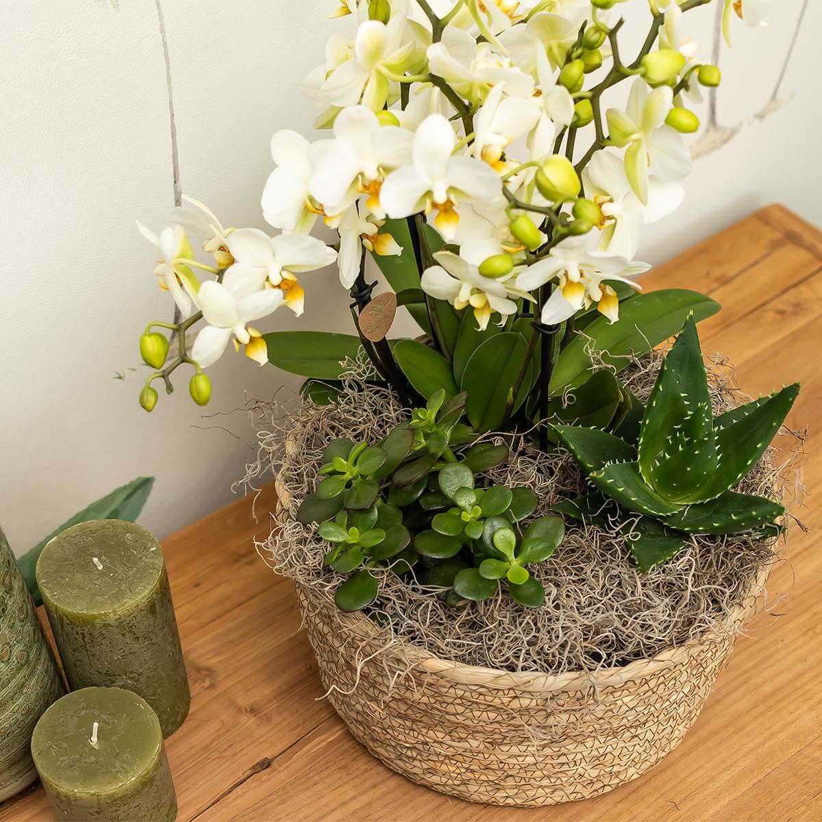 Kolibri Home | Reed Basket bloemschaal - Rieten gevlochten sierschaal - diameter Ø30cm